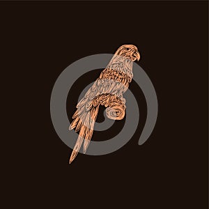 Cute Parrot Bird illustration artwork style design, Logo Vector Design. Abstract, designs concept, logo, logotype element for