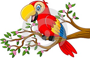 Cute parrot on the branch