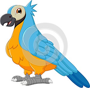 Cute parrot cartoon pose