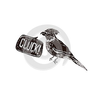 Cute parrot in linocut retro style, vintage silhouette of bird with cluck speech bubble isolated on white