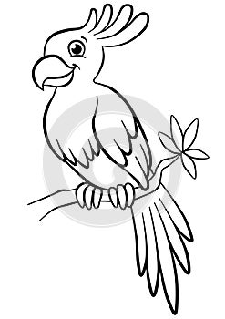 Cute parrot sitting on the flowered tree in the forest