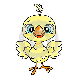 Cute parrots or chick. Funny kids vector illustration. Cartoon hand drawn colorful bird