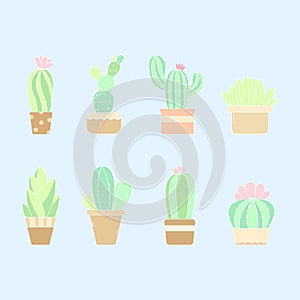 Cute pastel hand drawn cactus plant in the pots