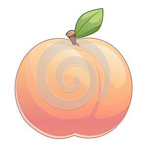 Cute peach with leave