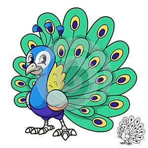 Cute Peacock Standing with Black and White Line Art Drawing