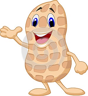 Cute peanut cartoon presenting