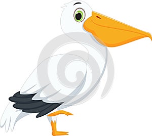 Cute pelican cartoon photo