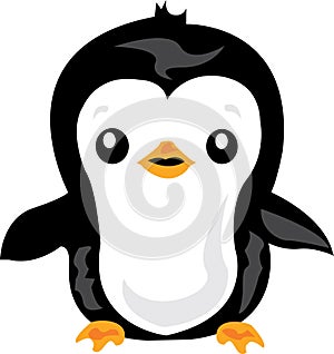 Cute Penguin photo
