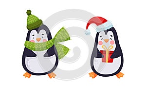 Cute penguin characters set. Adorable penguins in winter clothing cartoon vector illustration
