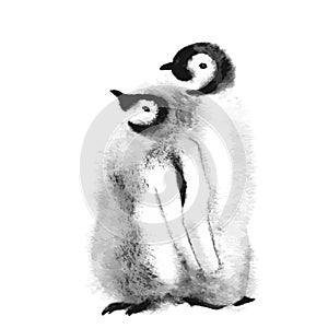 Cute Penguin family. Wild polar animal isolated on white background. Winter Artic character. Baby with mother. Watercolor Bird de