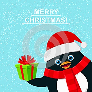Cute penguin with gift box and felicitation Merry Christmas