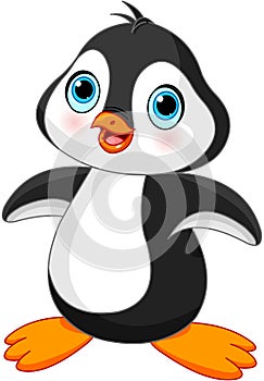 Cute Penguin photo