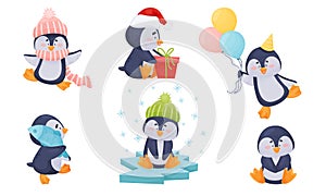 Cute Penguin Sitting on Ice Plate and Carrying Fish Vector Set