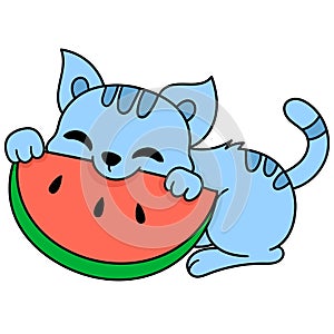 Cute pet cat eating watermelon fruit, doodle kawaii. doodle icon image