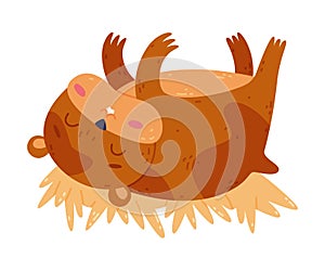 Cute pet hamster sleeping on straw, funny brown rodent pet animal cartoon vector illustration