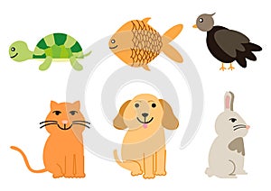 Cute pet illustrations