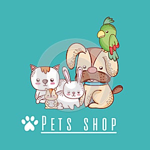 Cute pet shop cartoon