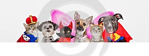 Cute Pets in Halloween Costumes Over Web Banner