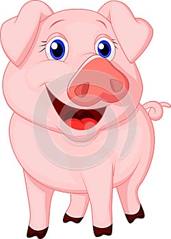 Cute pig cartoon