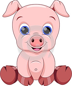 Cute pig cartoon