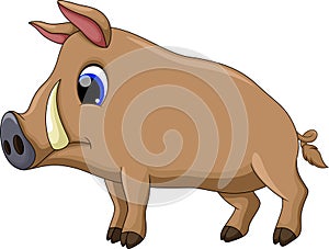 Cute pig cartoon