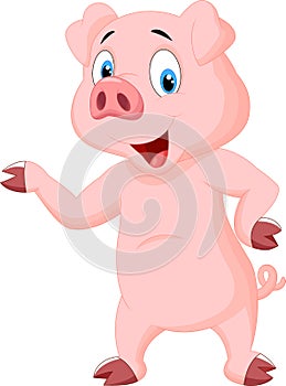 Cute pig cartoon