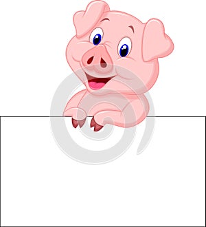 Cute pig cartoon holding blank sign