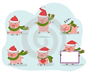 Cute pig collection isolated over white vector
