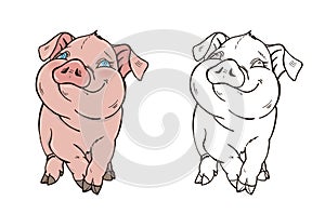 Cute pig in color and black and white