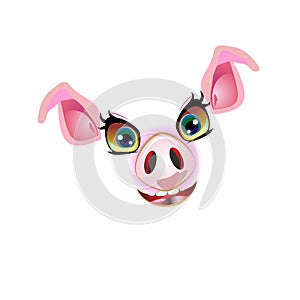 Cute pig face, muzzle illustration. For decorated and styling design in 2019 year