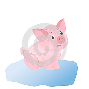 Cute pig funny piggie cartoon style, vector illustration photo