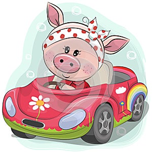 Cute Pig Girl goes on the car