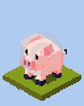 cute pig isolated element pixel art game character npc