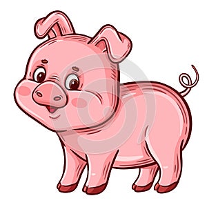 Cute pig, little pink piggy swine farm domestic animal cartoon character icon. Funny fat baby piglet agriculture livestock. Vector