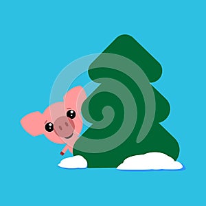 Cute pig looks out from behind a tree, funny character. Symbol of the year in the Eastern calendar.Vector illustration.