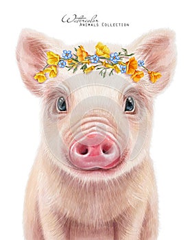 Cute pig portrait. Piggy in yellow wreath