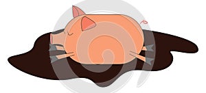 Cute pig sleeping in mud, illustration, vector