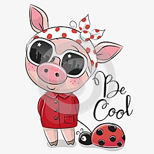 Cute Pig with sun glasses