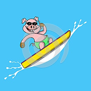 A cute pig is surfing