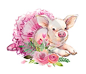 Cute pig watercolor illustration