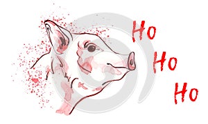 Cute pig in watercolour spots. New year 2019. Ho-Ho-Ho.