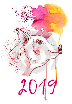 Cute pig in watercolour spots. Watercolor Symbol zodiac sign.