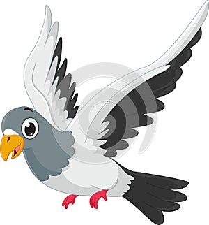 Cute pigeon cartoon flying