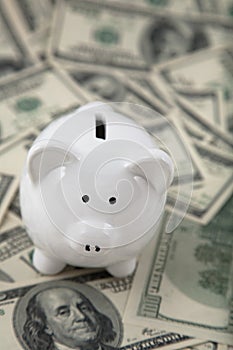 Cute Piggy Bank on heaps of cash