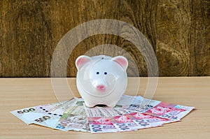 Cute piggy bank on a stack of cash.