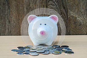 Cute piggy bank on a stack of cash.