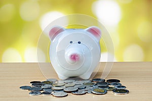 Cute piggy bank on a stack of cash. Concept of savings and money