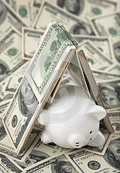 Cute Piggy Bank under shelter of cash