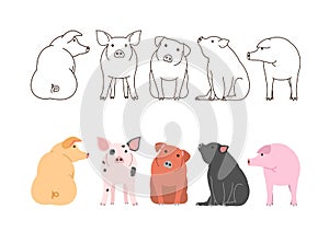 Cute pigs border set