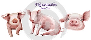 Cute pigs icon set in watercolor Vector. Pig New Year symbols isolated templates